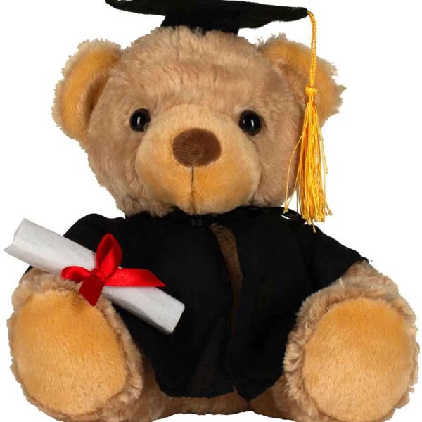 Mumbles Graduation Bear Thumbnail