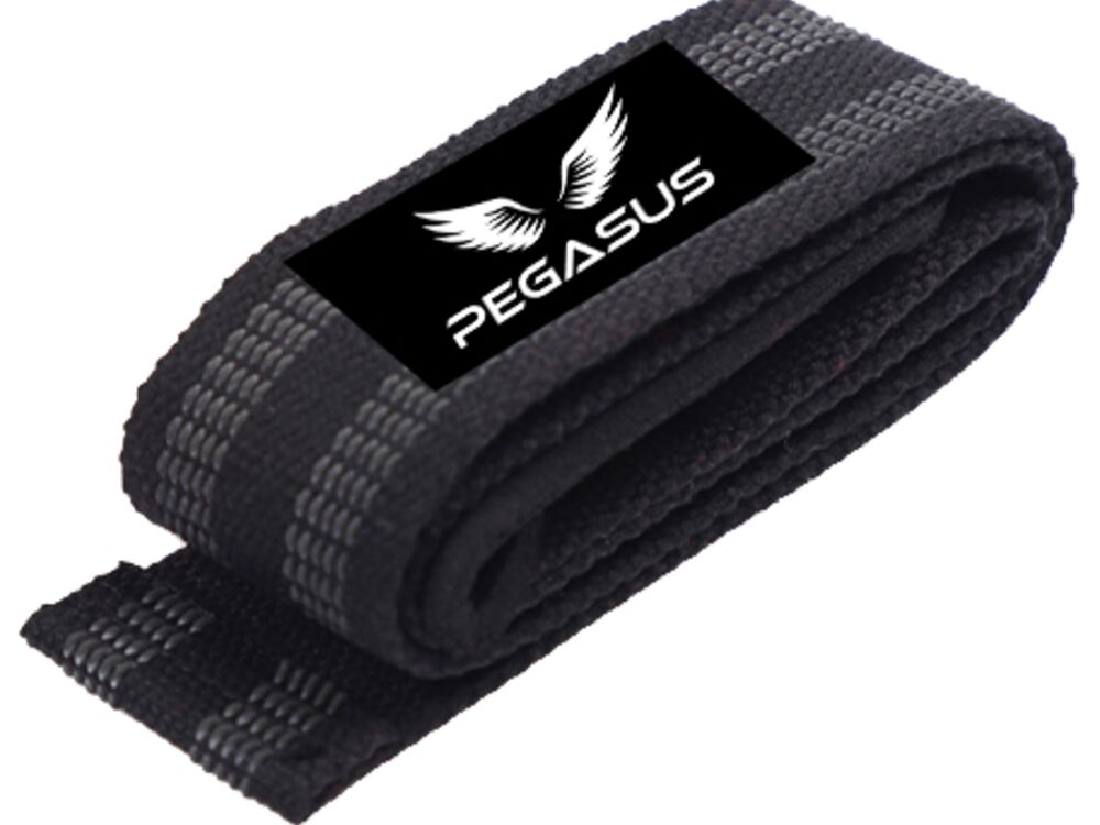 Pegasus Thumbnail