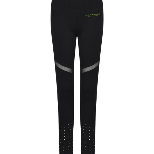 Ladies Panelled Leggings Thumbnail