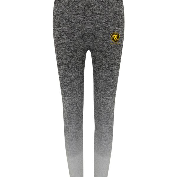 Seamless Fade Out Leggings Thumbnail