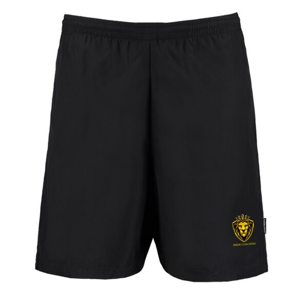 Mesh Lined Training Shorts Thumbnail