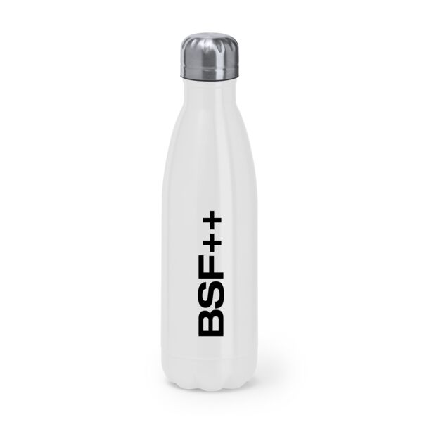 Standard Stainless Steel Bottle Thumbnail