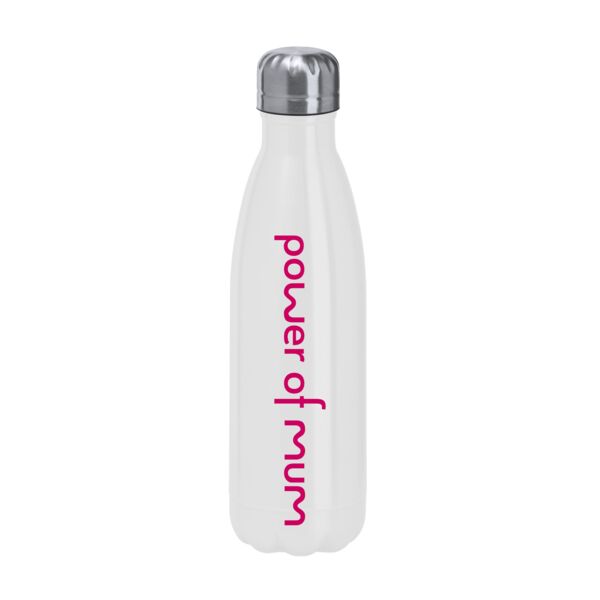 Standard Stainless Steel Bottle Thumbnail