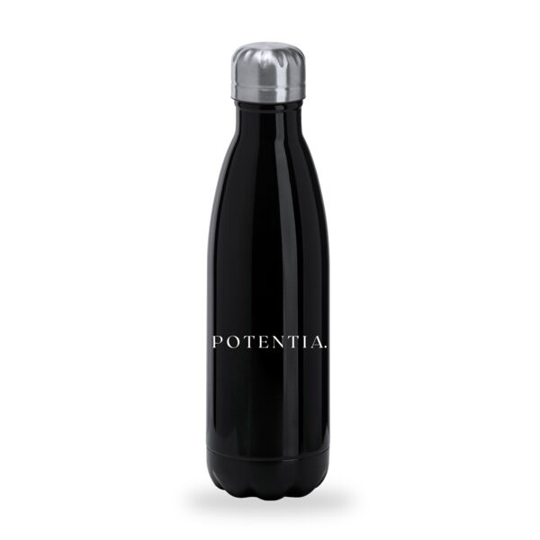 Standard Stainless Steel Bottle Thumbnail