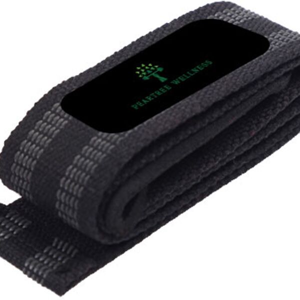 Lifting Straps Thumbnail