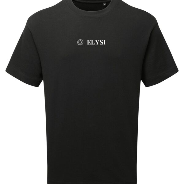 Anthem heavyweight t-shirt Thumbnail