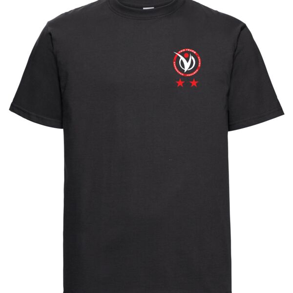 2 Year Classic Unisex Heavyweight Combed Cotton T-Shirt Thumbnail