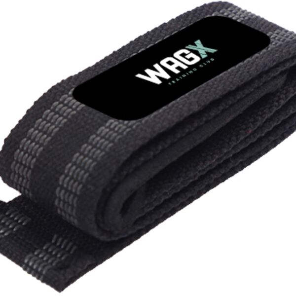 Lifting Straps Thumbnail