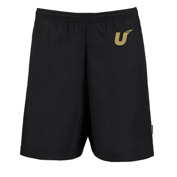 Mesh Lined Training Shorts Thumbnail