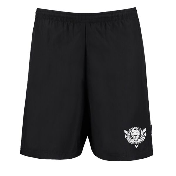 Mesh Lined Training Shorts Thumbnail