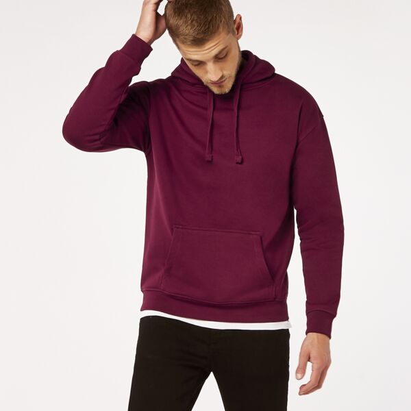 Regular Fit Hoodie Thumbnail